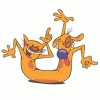 #446