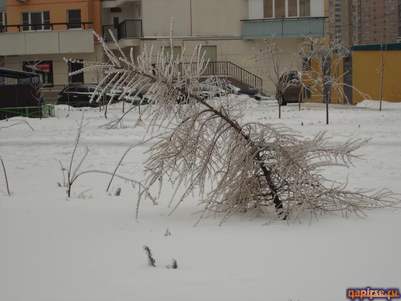 Ледяной дождь Москва 26 декабря