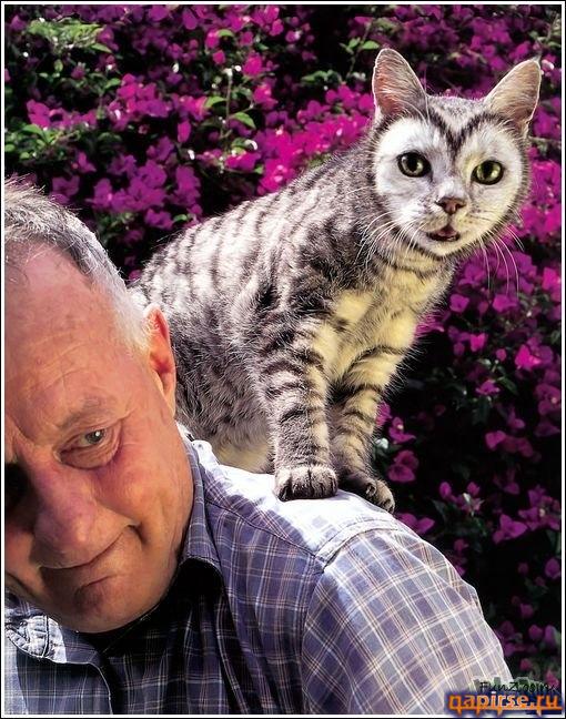 Кошачий арт бодиарт