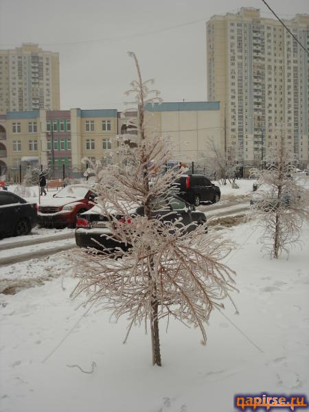 Ледяной дождь Москва 26 декабря