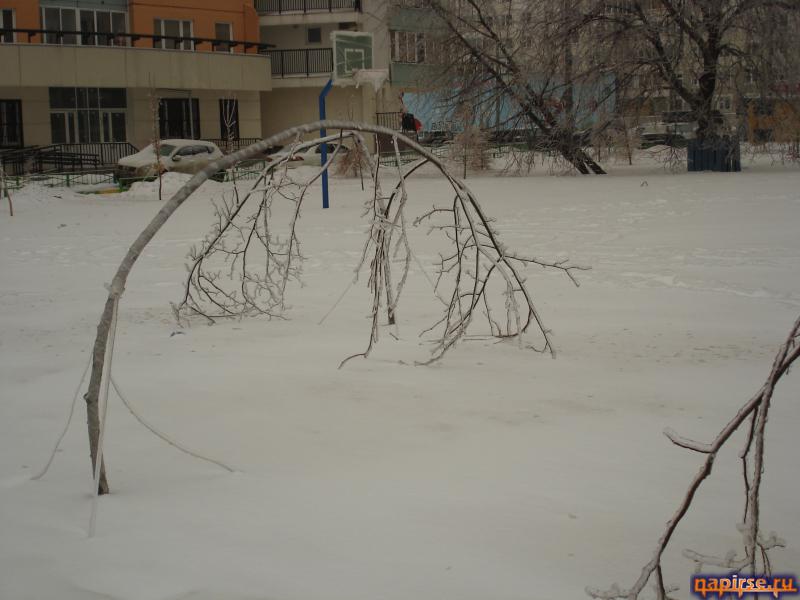 Ледяной дождь Москва 26 декабря
