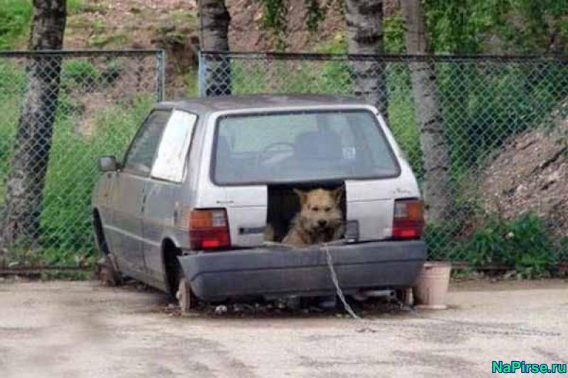 Приколы на дорогах