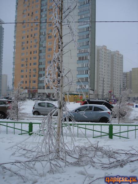 Ледяной дождь Москва 26 декабря