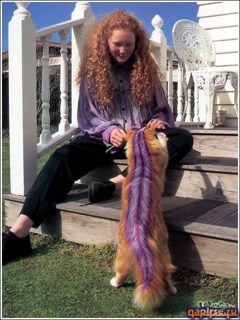 Кошачий арт бодиарт
