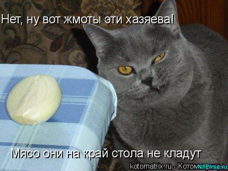 Болит зуб со штифтом Актриса Анна Нахапетова: биография, личная жизнь. Лучшие фильмы