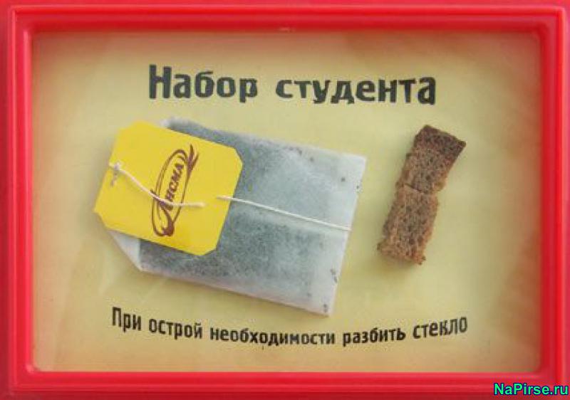 картинки прикольные с надписями про студентов смотреть