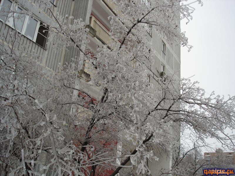 Ледяной дождь Москва 26 декабря