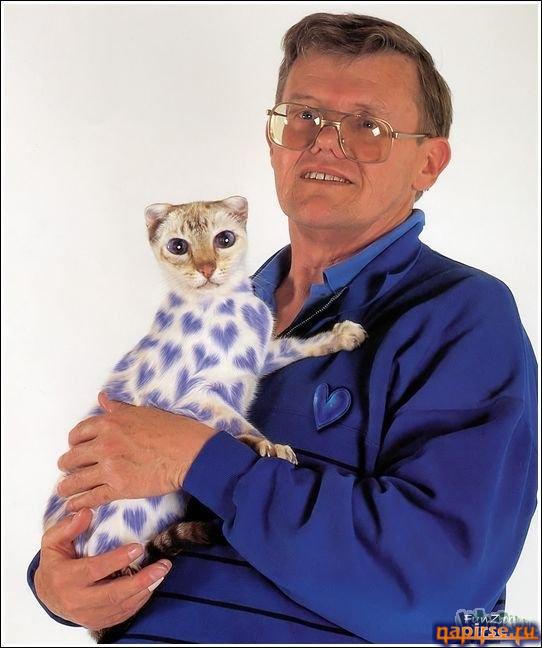 Кошачий арт бодиарт