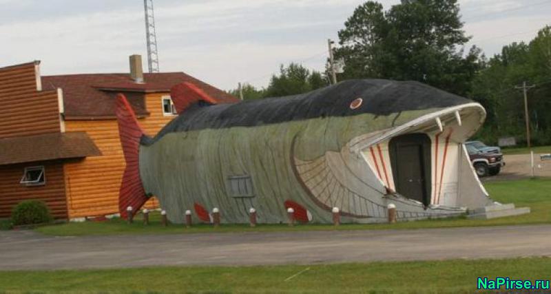Самые необычные дома мира фото