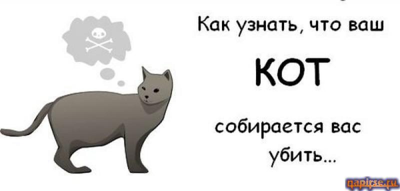 Коты всемирный заговор