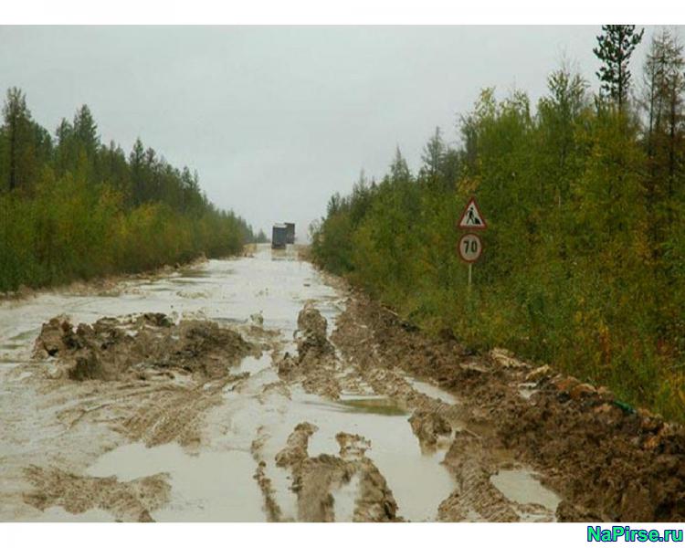 Приколы на дорогах