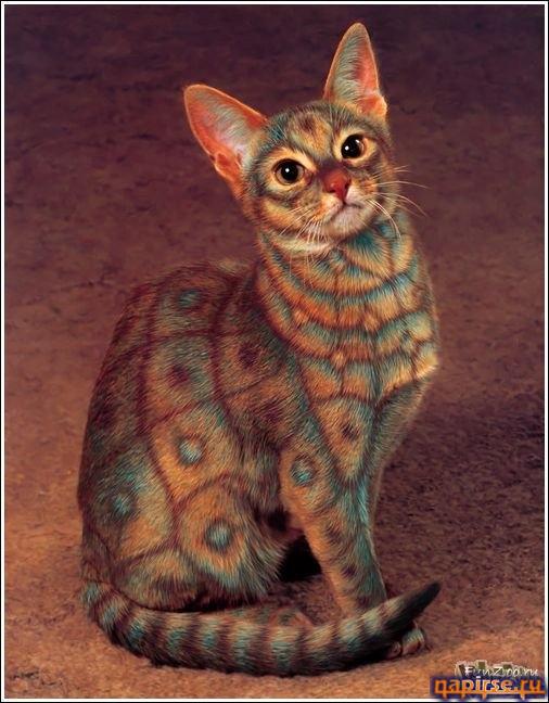 кошачий арт бодиарт