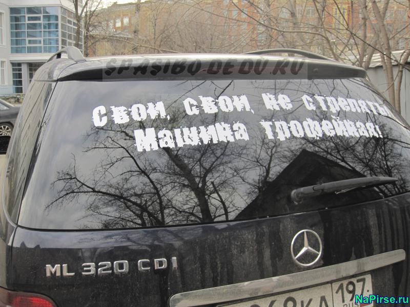 Прикольные наклейки на авто виниловые кот саймон на стекло капот ...