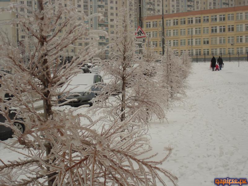 Ледяной дождь Москва 26 декабря