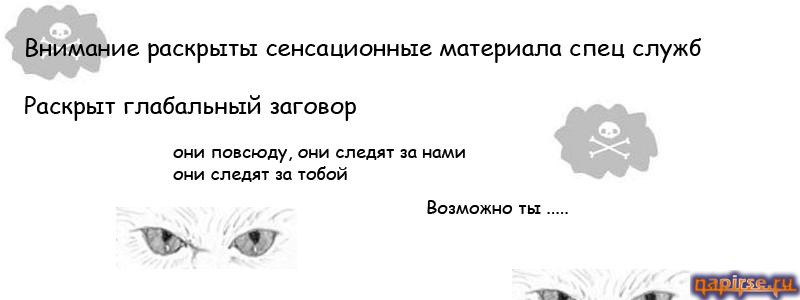 Коты всемирный заговор
