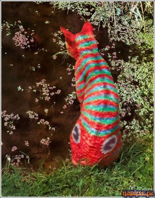 Кошачий арт бодиарт