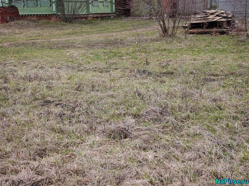 Костюм кота для девочек своими руками фото 210