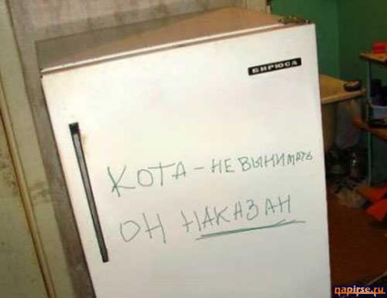 Прикольные надписи и объявления