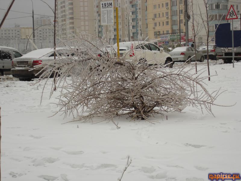 Ледяной дождь Москва 26 декабря