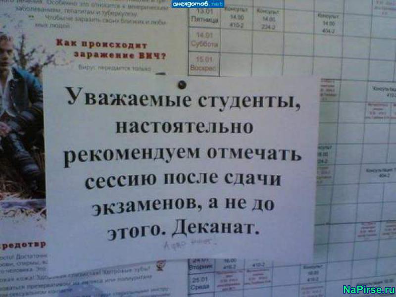 картинки прикольные с надписями про студентов смотреть
