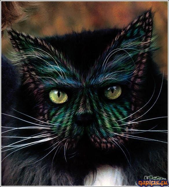 Кошачий арт бодиарт