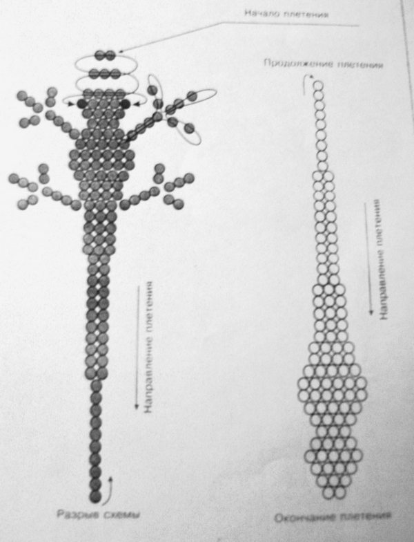 Схема плетения объемной ящерицы