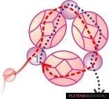 Схема плетения сердца из бисера