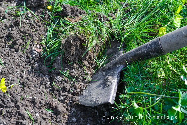 use a half moon edger / How to edge flowerbeds like a pro! via FunkyJunkInteriors.net