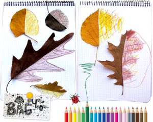 leaf52 300x240 - Осенние поделки: аппликации из осенних листьев. Коллаж из осенних листьев