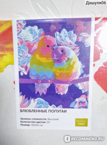 Картина по номерам "Влюбленные попугаи" Русская живопись фото