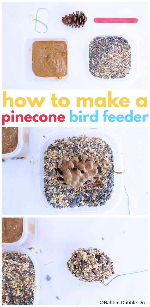 Making a simple pinecone bird feeder is a great science project for little ones; not only does it teach them about being aware of the animals that live all around us, it is messy good fun!