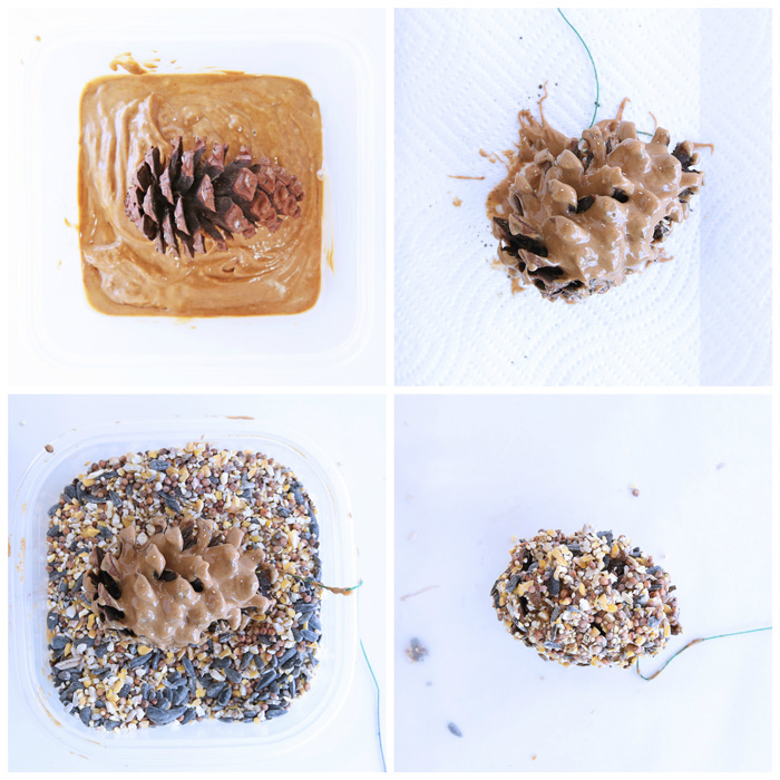 Making a simple pinecone bird feeder is a great science project for little ones; not only does it teach them about being aware of the animals that live all around us, it is messy good fun!
