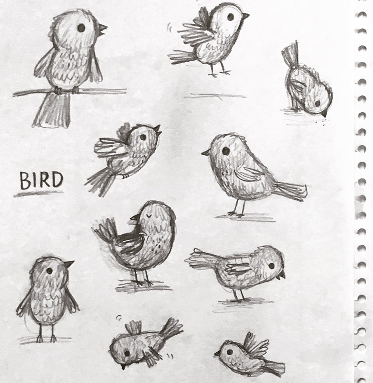 Pencil drawings of birds