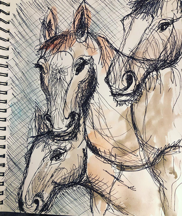 Quick sketches of horses