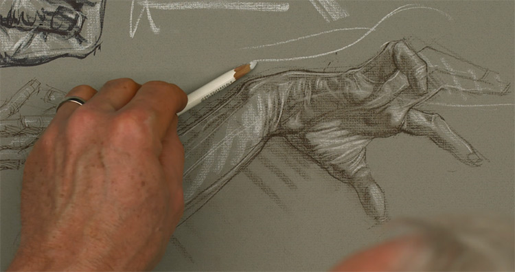 NMA course on hand drawing