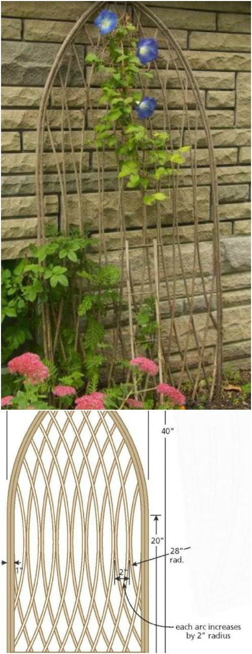 DIY Twig Trellis