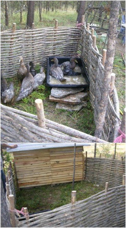 DIY Wattle Fencing