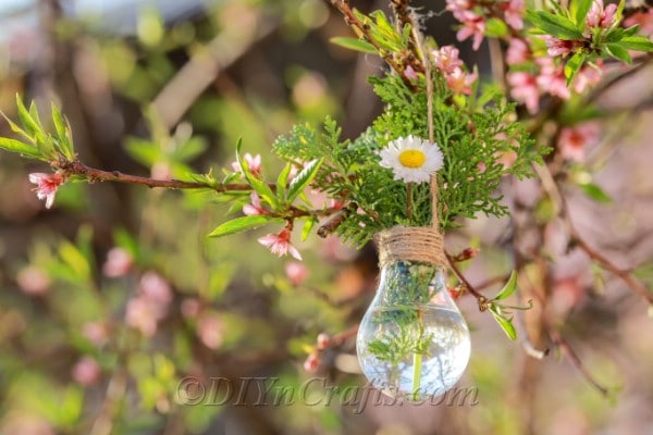 Lightbulb planter hanging from a tree