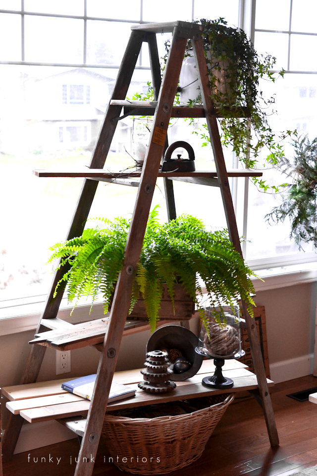 Diy ladder plant stand