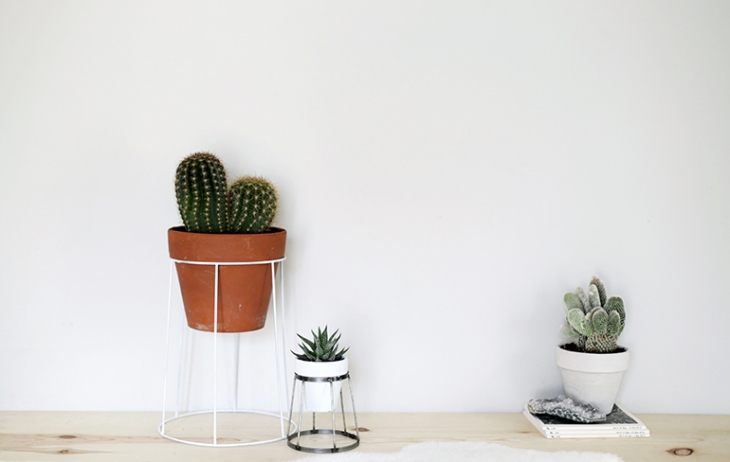 Diy plant stand