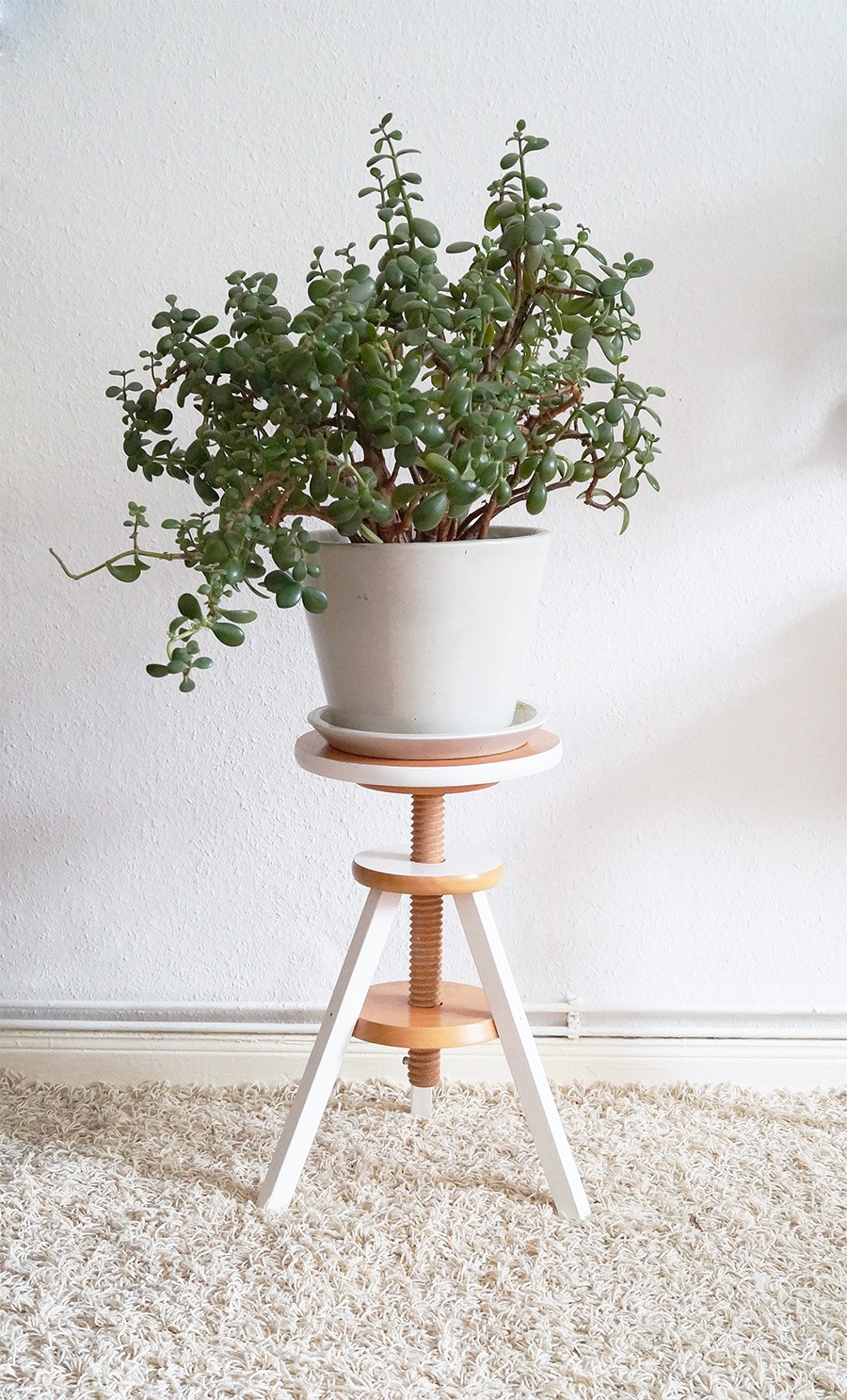 Diy plant stand