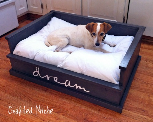 Dream dog bed diy