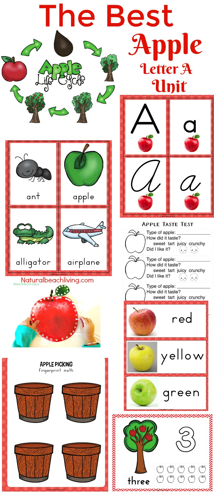 50+ Apple crafts for Preschoolers, paper apple crafts, apple crafts for kindergarten, Fall is perfect for Apple Crafts for kids. Whether you are looking for easy toddler apple crafts or fun apple crafts for themed learning with preschoolers and kindergarten, these apple projects will give you great ideas for kids crafting all season long. There are so many different ways to get creative and crafty with apples. 