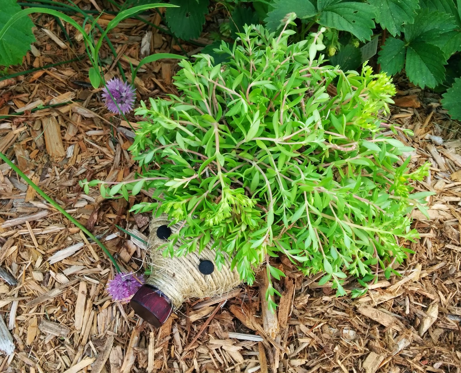 cool hedgehog planter Cute DIY Hedgehog Planter Made From a Plastic Bottle