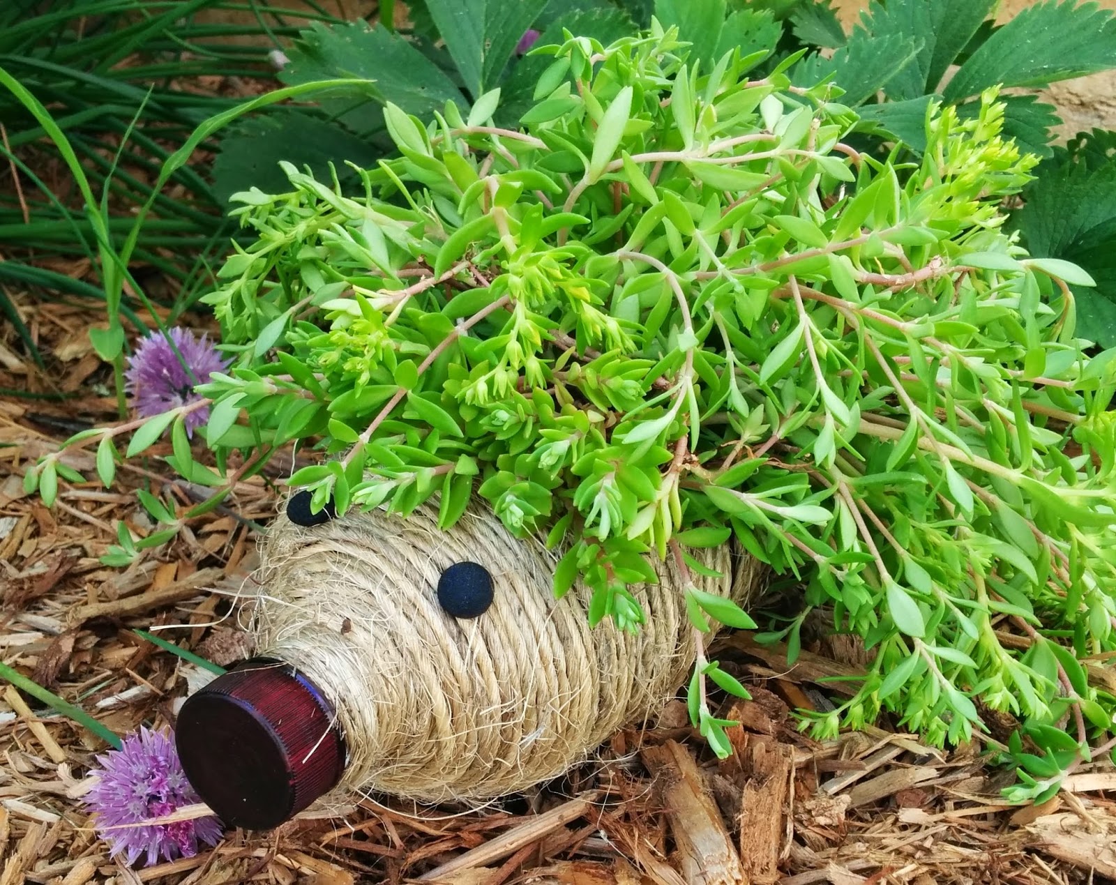 diy hedgehog planter for your garden