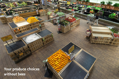 an image of a grocery store produce section with and without foods that come from plants pollinated by bees.