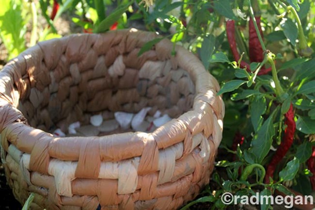 Weave a basket from old plastic bags. 