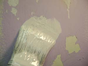 photo priming paint blisters with primer-sealer