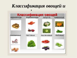 Классификация овощей и фруктов 