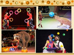 Какие предметы и какой формы в цирковых номерах у артистов? 